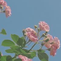 100句蕴含哲理的人生格言