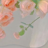 情感故事：趟过职场迷情 我的爱一去不返