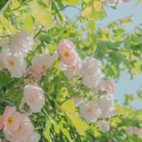 有些难启齿的柔弱，在孤单夜里会滑落_让你不经