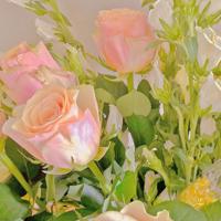 读者文摘在线阅读