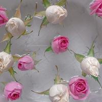 六月，留一份清浅给时光