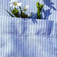 写给自己的励志说说