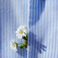 有趣的十种思维