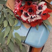 凝眸思量,时光已无言