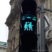 鸠占鹊巢散文欣赏