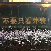 给你的女人扣上扣子