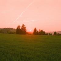 李宇春吴青峰520共推新曲，另类爱情故事暖心上线酷狗