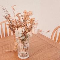 再见李子木,随风而逝的青春岁月