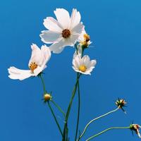 忍住、往下看，细细品味