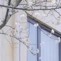 给女朋友晚安句子甜蜜 晚安一句话