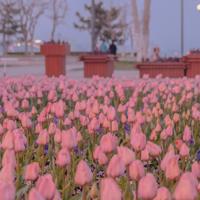 我和你在河两岸，但河终有尽头