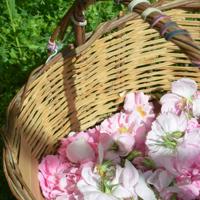 今天网上看到的几米语录分享给大家