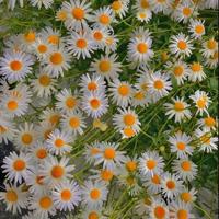 有一种爱叫“索取”