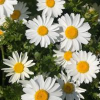 河南农村真实鬼故事-灵异录