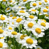 人生最困难的不是努力，也不是奋斗，而是做出正确的抉择。