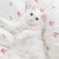 鬼故事之开错车