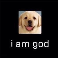 愿你把酒持剑,归来仍是少年.