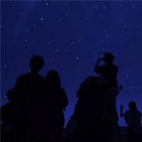 没有爱情的江湖