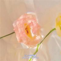 一个少年卑微的请求