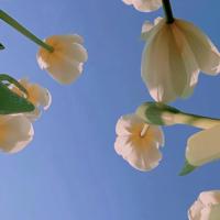 简短的哲理句子摘抄,人生哲理短句