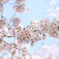 人生，要有阳光般的心态