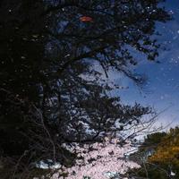 不要打开那扇窗