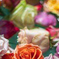 带着你的爱一路前行