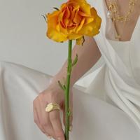 “三不禅”——弱者的哲学