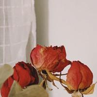 从你1岁到你50岁!最后一句我哭了