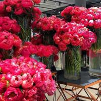 感恩母校的美文摘抄