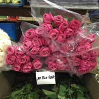 粗吗舒不舒服宝贝h 乱系列H全文阅读