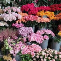 你我的距离,只差一米阳光散文欣赏