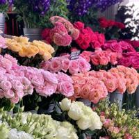 在这块土地曾经留下我俩的足迹