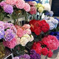 描写春天的美文摘抄