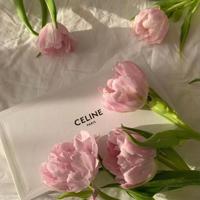 唯美古风的句子大全|唯美句子