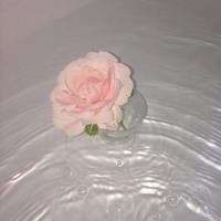 深爱么？后来呢？