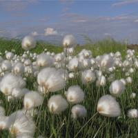 激发人斗志的经典名言警句