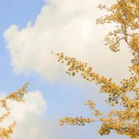 关于人生经典语录选集