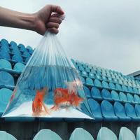 可是没有如果散文