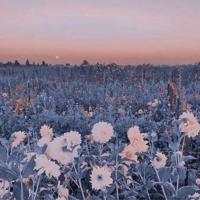 看看你旁边的镜子