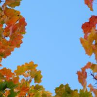 做最真实的自己,不要过分在意他人的眼光