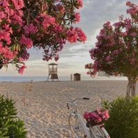 江北新區幼教老師講述“南京教育好故事”