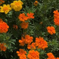 我的“花心”爱情故事