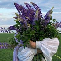 忆当初执子之手〃话现在垂颜一人