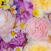 妈妈我知道爱你就要爱自己