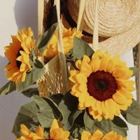 给我绚烂阳光的受伤女人