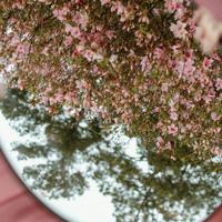 舟中看霞听雨散文欣赏