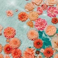 家长必备：95句鼓励孩子学习的话