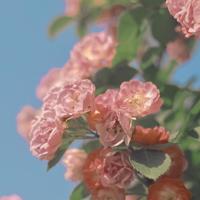 你会不会在地铁的末班车上等我