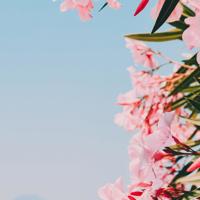 初见,暮然回首
